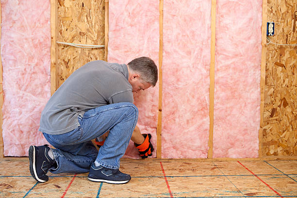 Best Specialized Insulation Services in Birchwood Lakes, PA